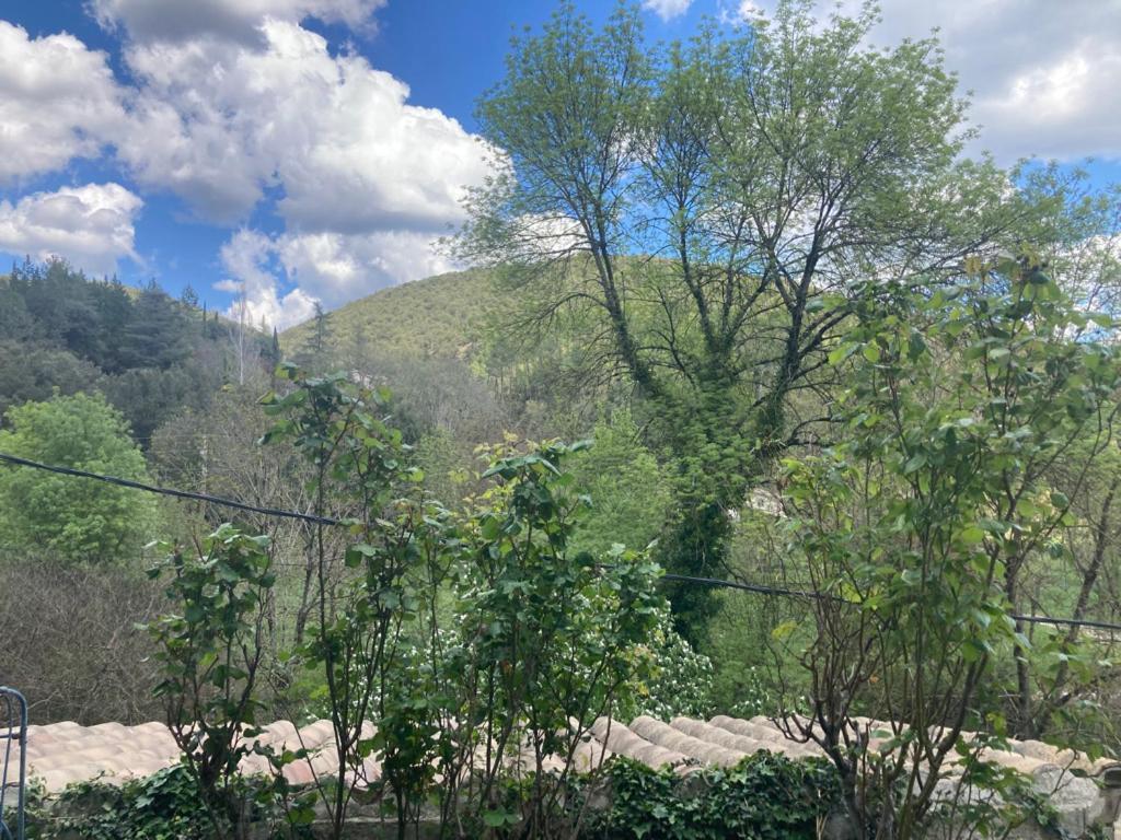 Cros  Chambres Et Gite En Cevennes מראה חיצוני תמונה