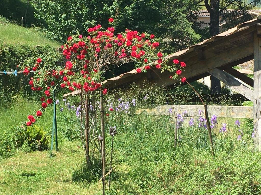 Cros  Chambres Et Gite En Cevennes מראה חיצוני תמונה
